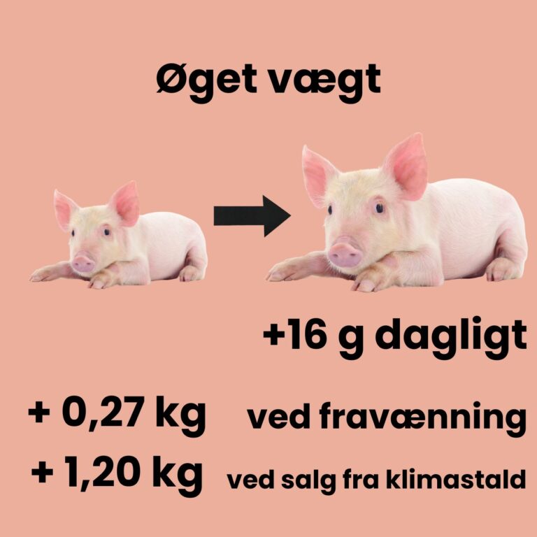 ZOOM karussel kampagne (1)