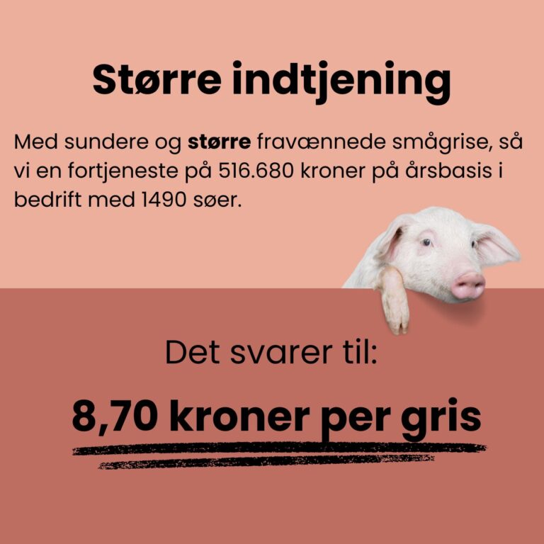 ZOOM karussel kampagne (3)