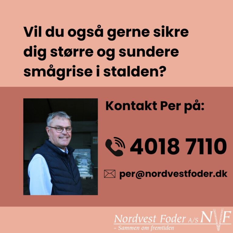 ZOOM karussel kampagne (4)