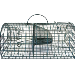 Rottefælde Trådvæv - Familie (40 cm)