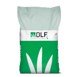 Solsikke Peredovick (2 kg)